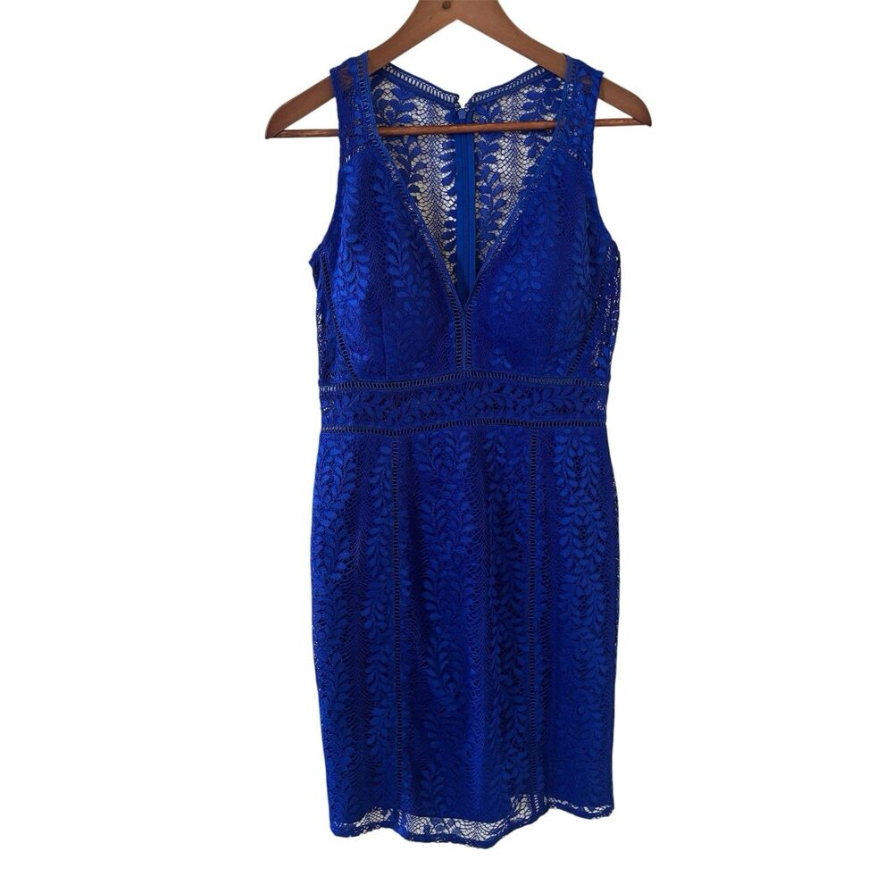 NWT Babydoll Floral Womens Midi Dress Hoco Lace Sheer Size Large Romantic